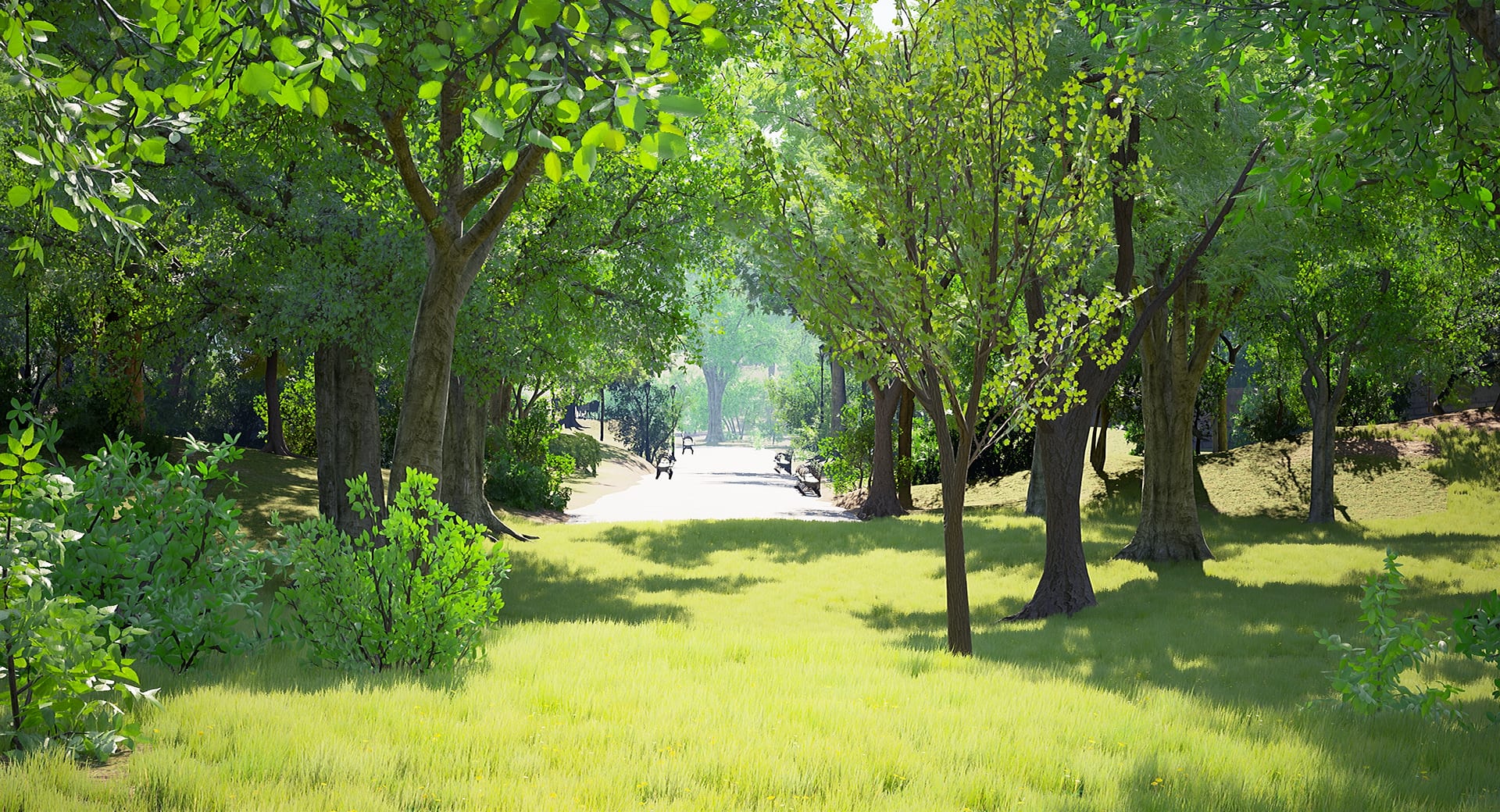 Virtual park set - a lawn and tree-lined alley in soft summer light